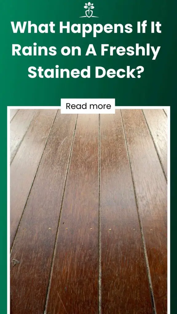 What Happens If It Rains on A Freshly Stained Deck-min