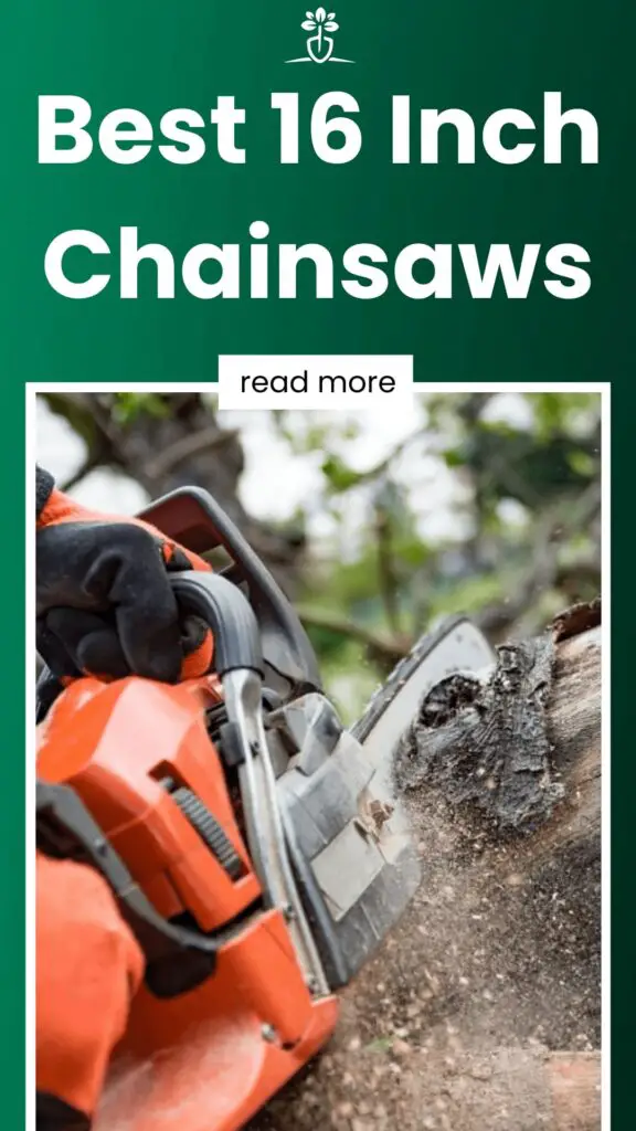 Best 16 Inch Chainsaws