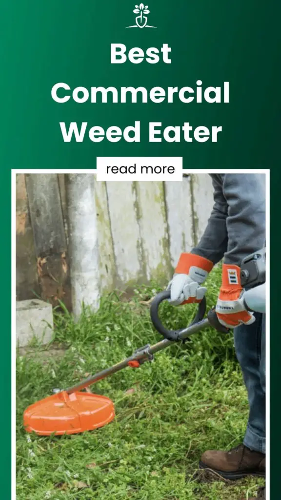 Best Commercial Weed Eater