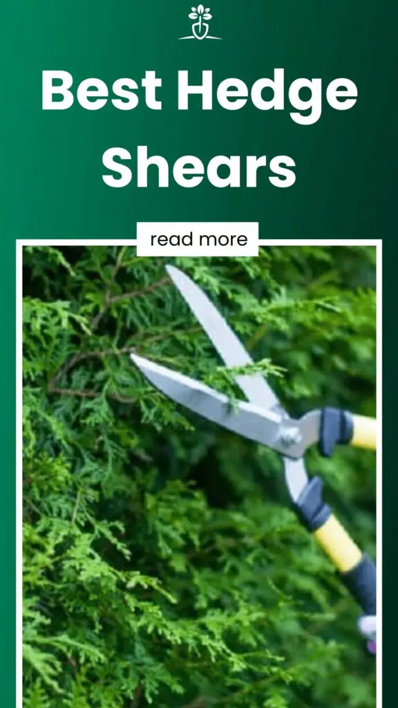 Best Hedge Shears